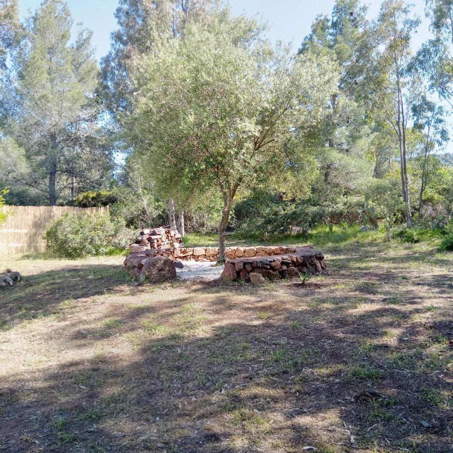 Casa Di Campagna Galtellì エクステリア 写真
