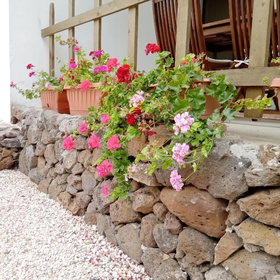 Casa Di Campagna Galtellì エクステリア 写真